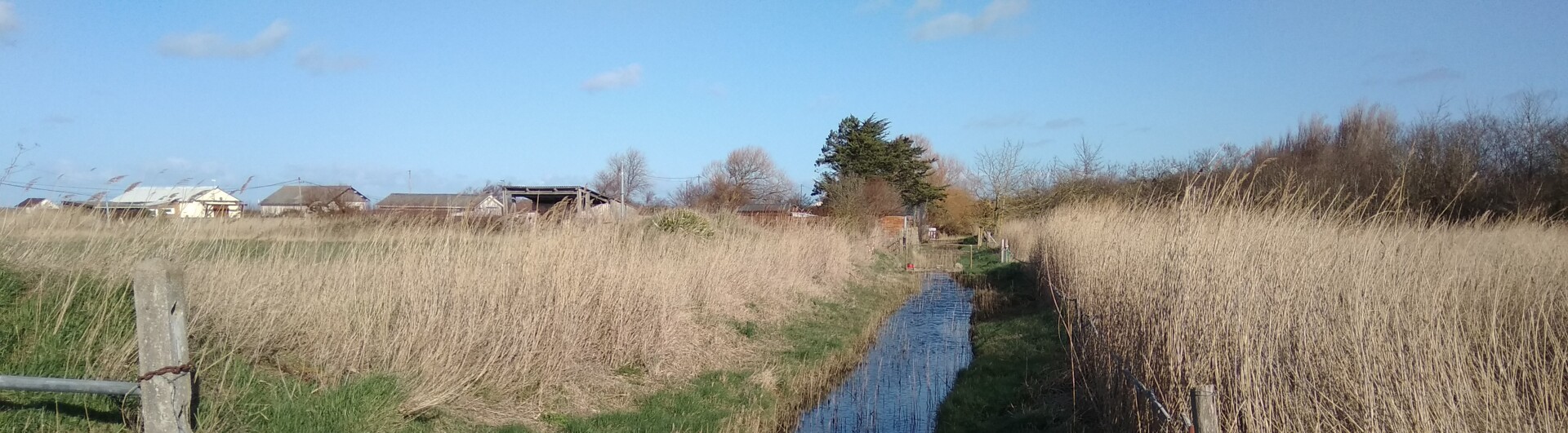 Marais de Ver sur Mer