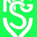 Logo NGSV