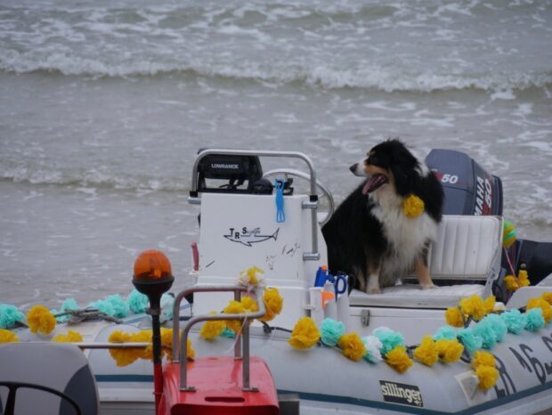 Fête de Ver & de la Mer